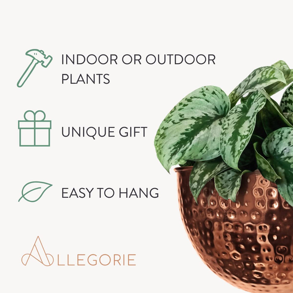 Allegorie hanging in kitchen showing boho farmhouse decor and storage benefit