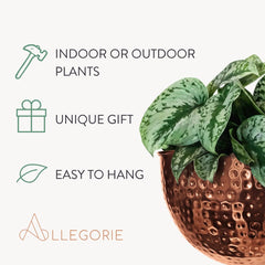 Allegorie hanging in kitchen showing boho farmhouse decor and storage benefit