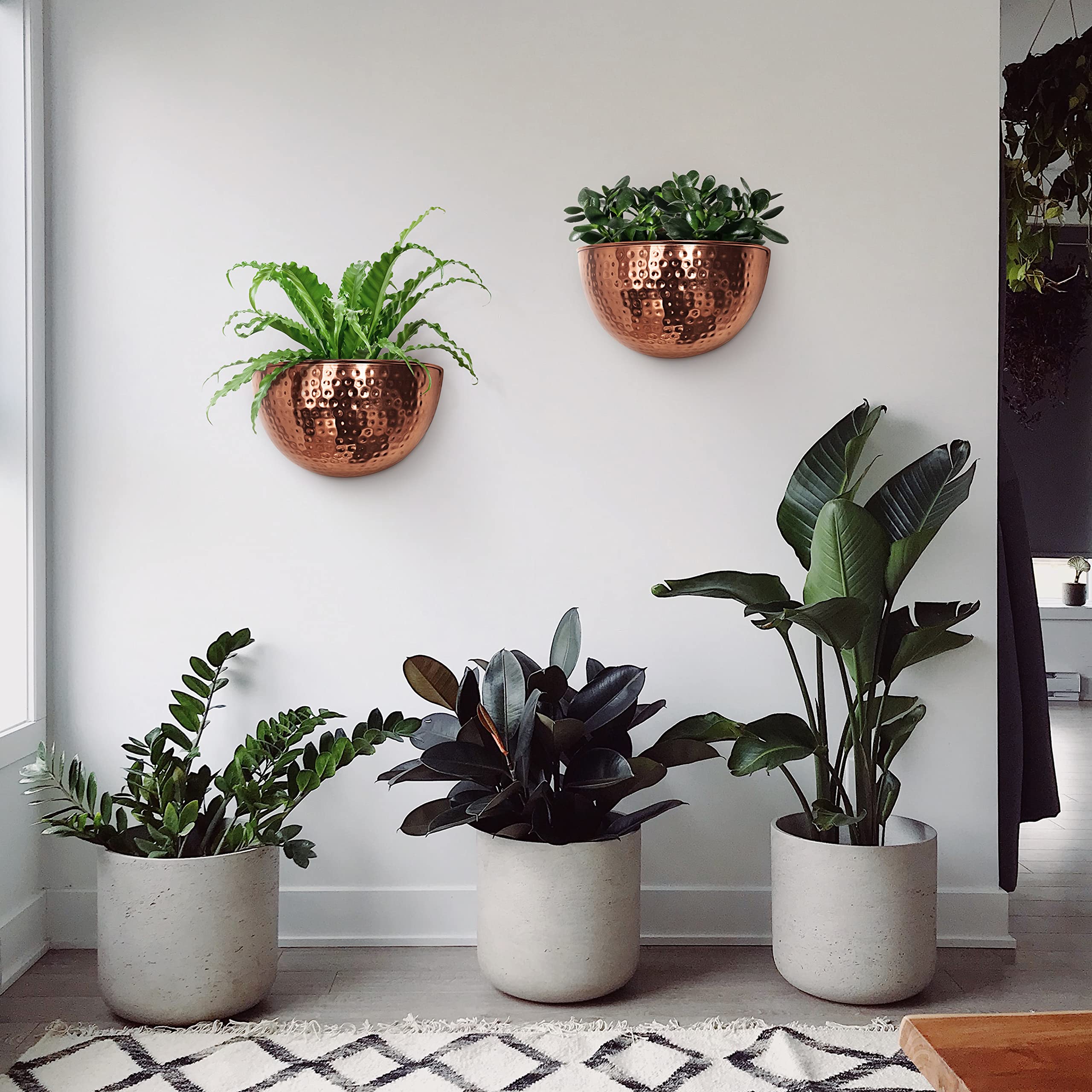 Allegorie mounted with succulents illustrating space-saving greenery benefit