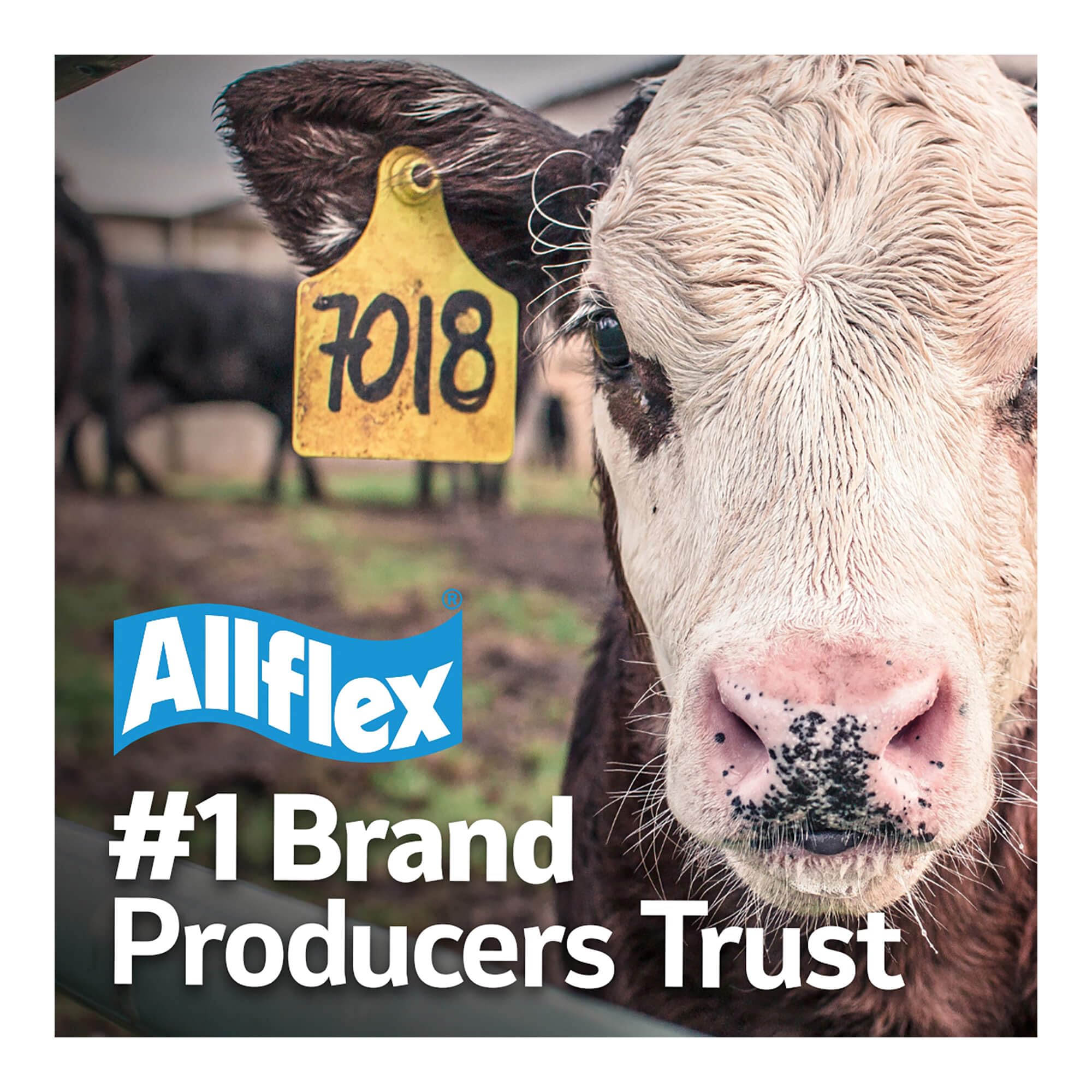 Allflex UTT3S held in hand for scale showing balanced weight and reduced fatigue benefit