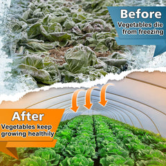 Alphatool covering vegetable bed in use protecting plants from frost