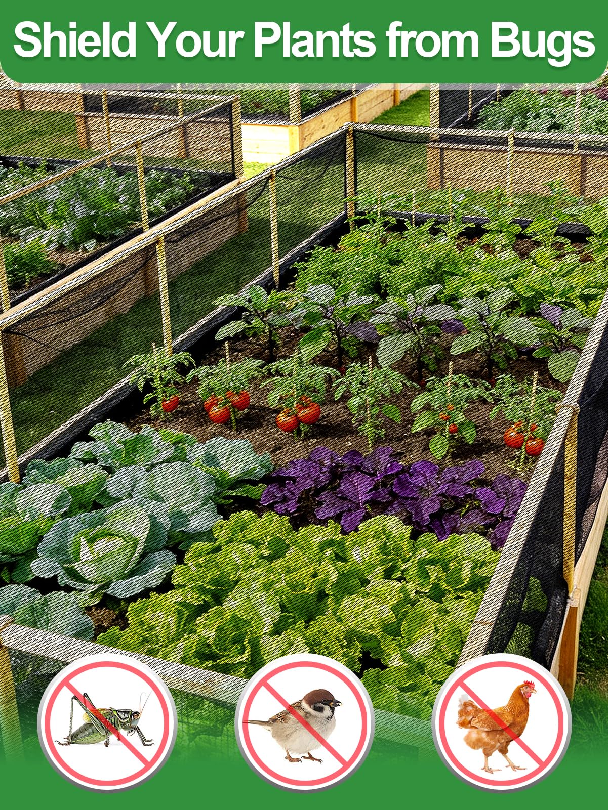 Alphatool netting draped over a raised bed protecting plants from pests while allowing airflow