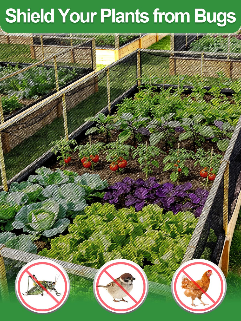 Alphatool netting draped over a raised bed protecting plants from pests while allowing airflow