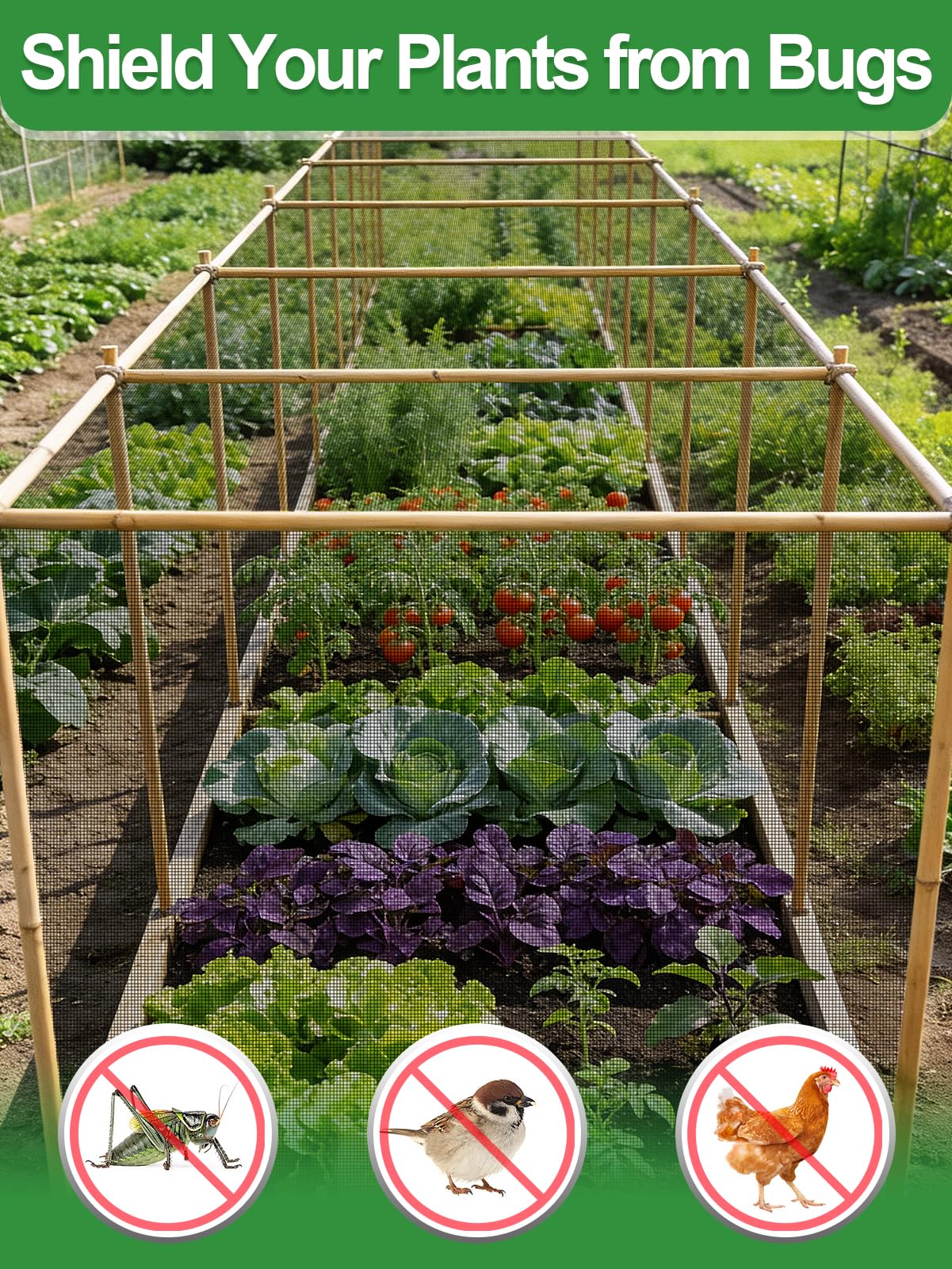 Alphatool netting draped over raised bed protecting plants from pests