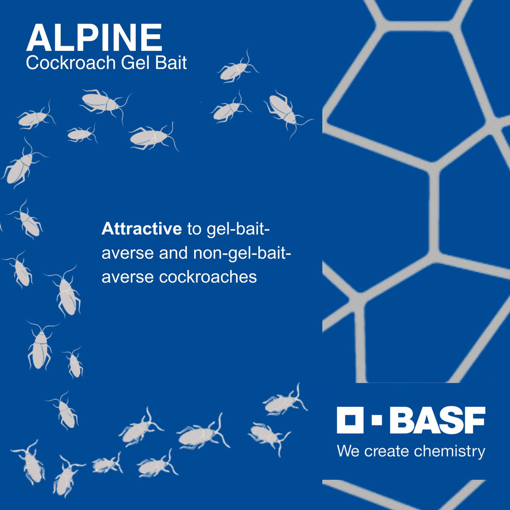 Alpine gel dots applied under sink cabinet demonstrating effective harborage targeting