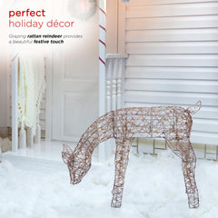 Alpine Corporation reindeer lit on lawn at night providing welcoming holiday light