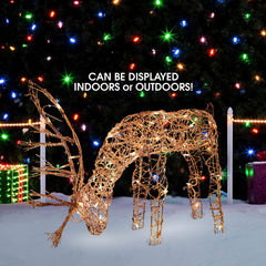Alpine Corporation reindeer placed in garden setting creating welcoming holiday ambience