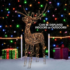 Alpine Corporation reindeer LED close-up showing bright, energy-efficient lights