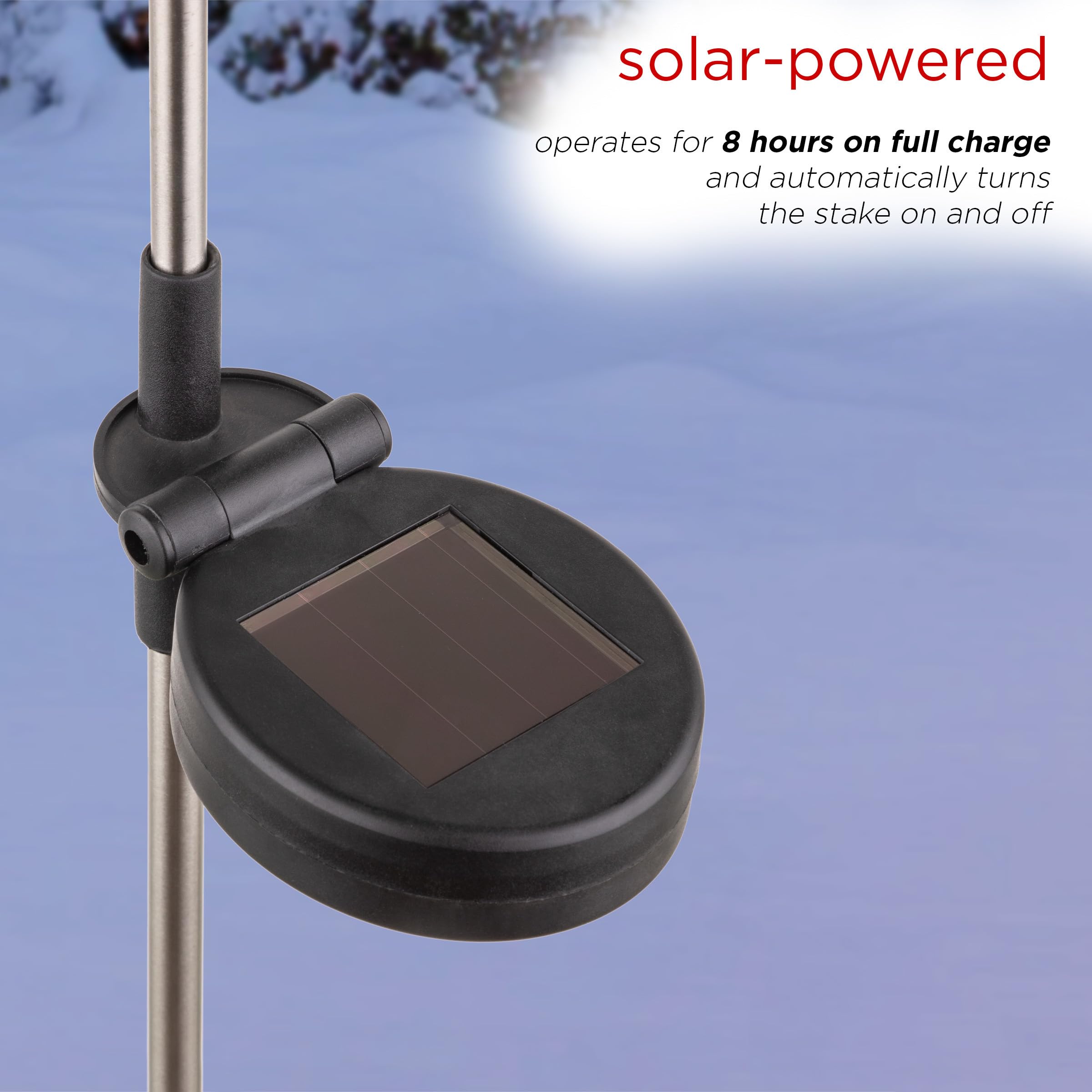 Alpine Corporation stakes lining a pathway offering clear directional lighting for safety
