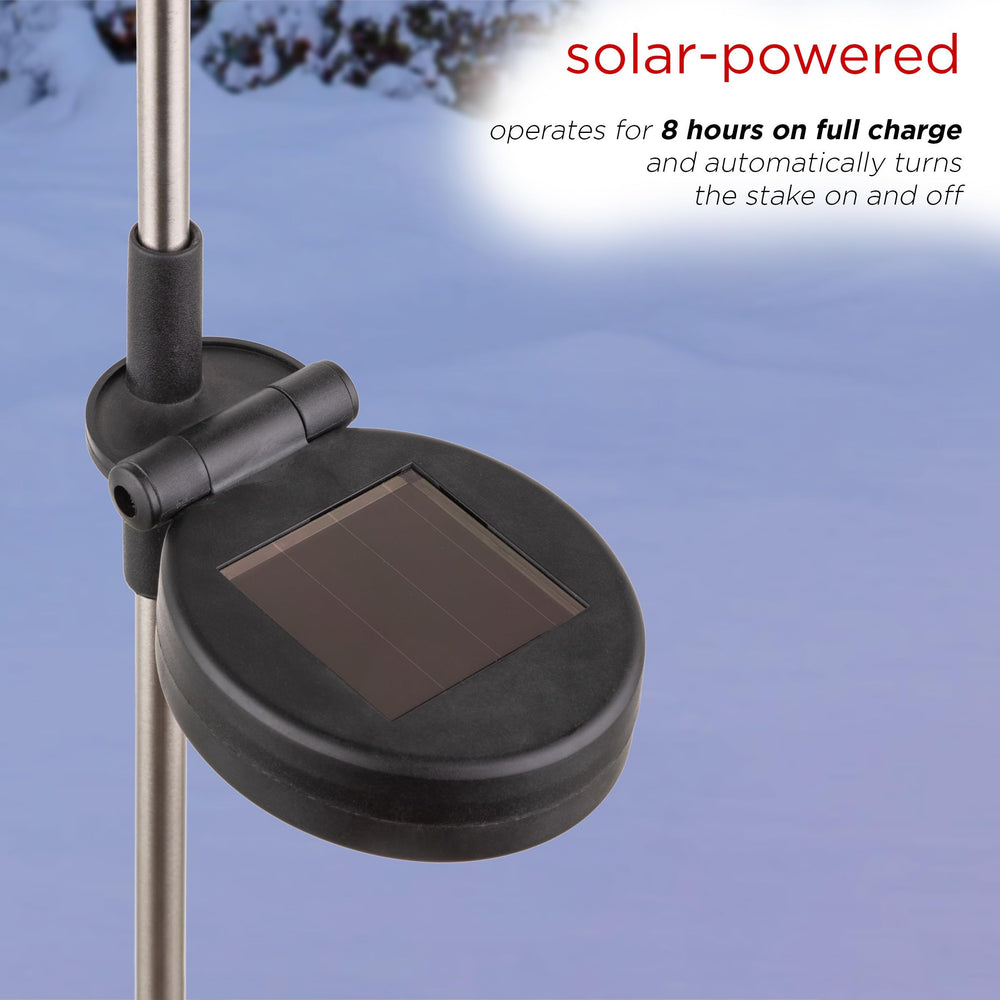 Alpine Corporation stakes lining a pathway offering clear directional lighting for safety