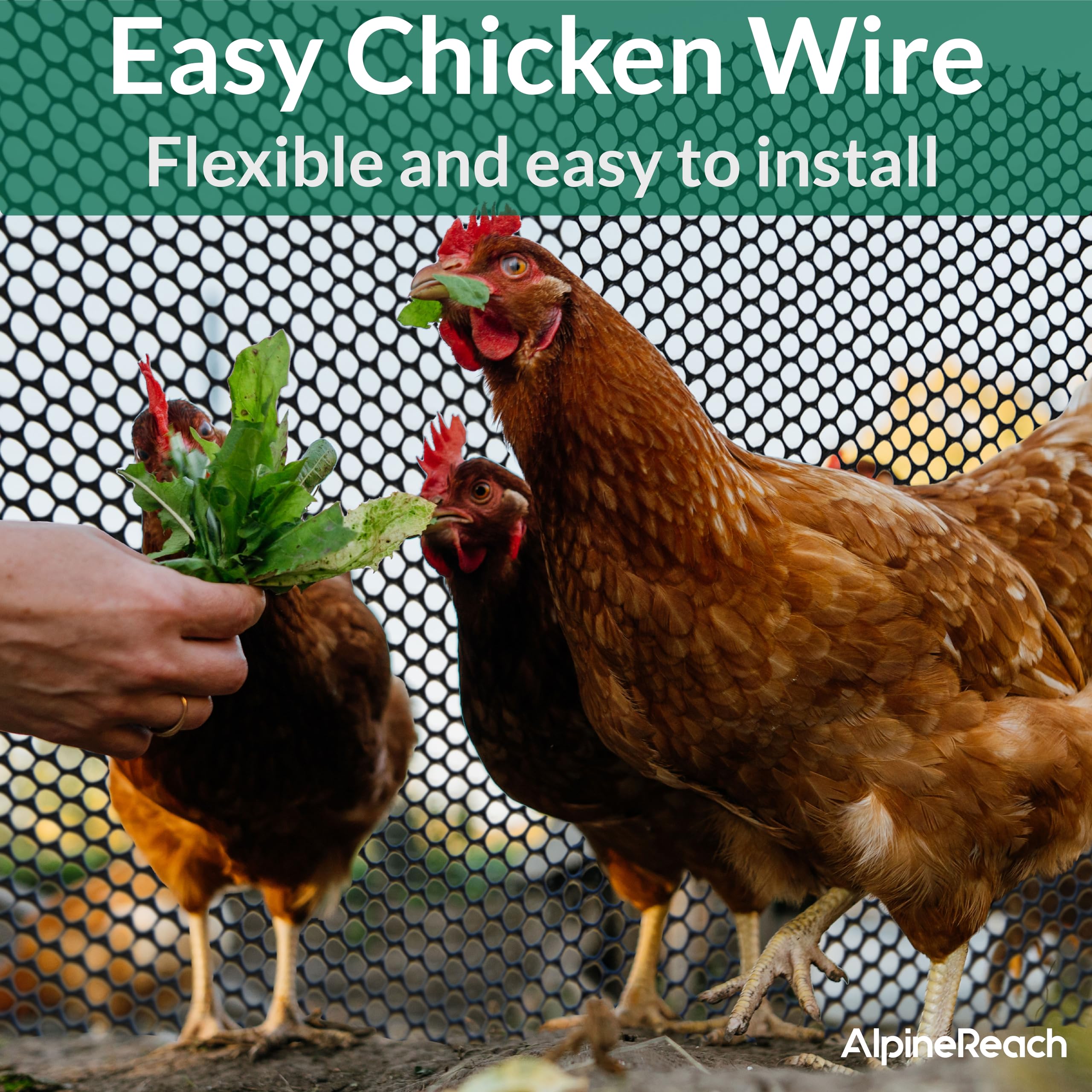 AlpineReach installed chicken run demonstrating secure containment and easy attachment