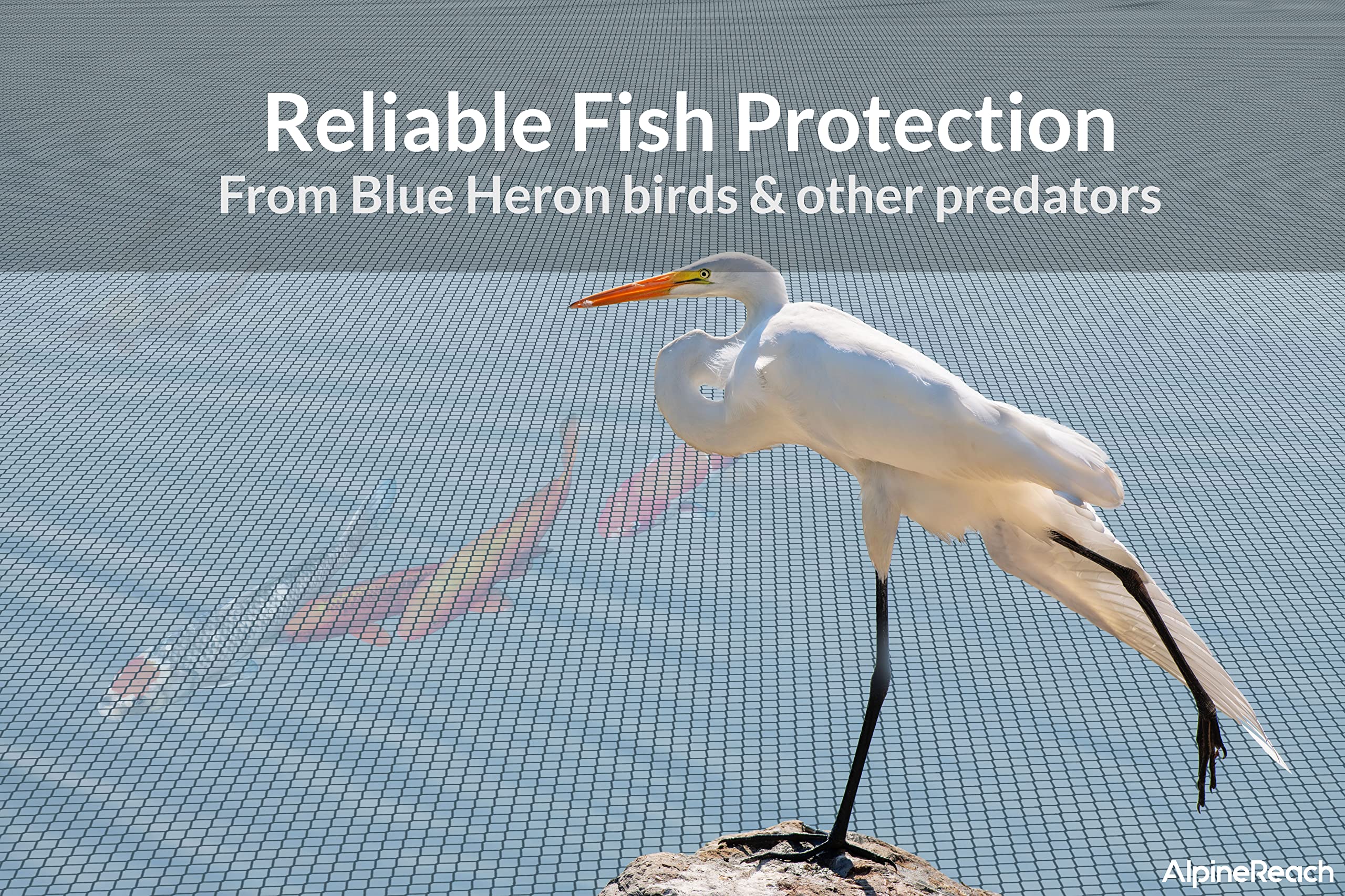 AlpineReach net floating above koi ensuring fish safety and visibility