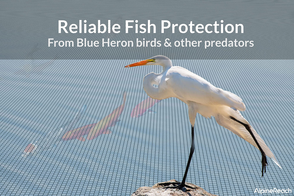 AlpineReach net floating above koi ensuring fish safety and visibility