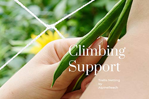 AlpineReach trellis netting in use on vertical posts supporting tomatoes and boosting airflow