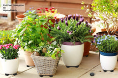 AlpineReach pot feet placed under ceramic planter showing improved drainage