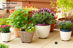 AlpineReach riser mounted under ceramic pot improves drainage and stability
