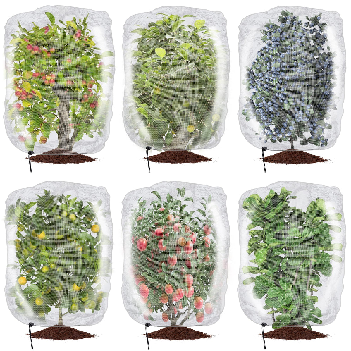 Alpurple front packaging showing six tree nets protecting plants