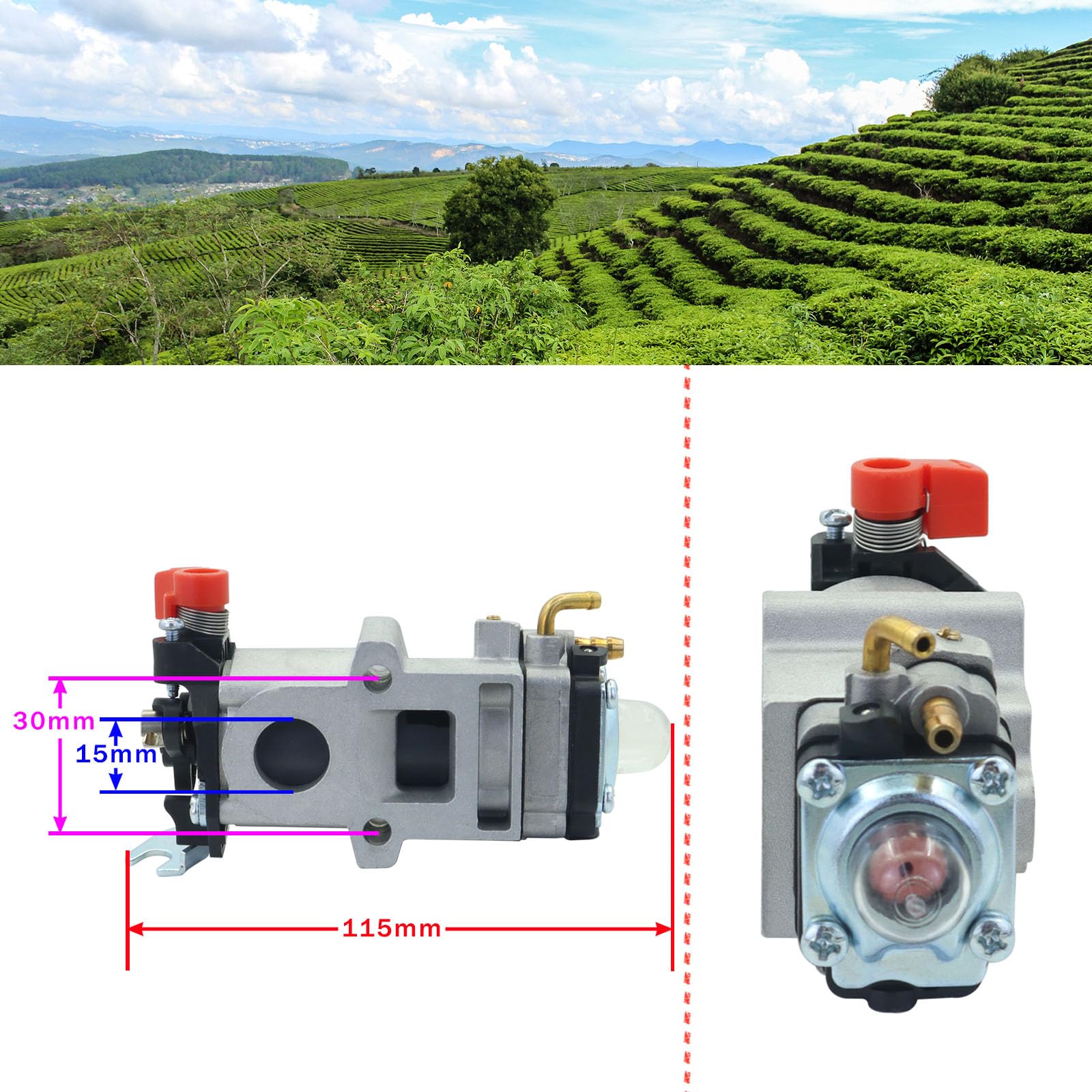 ALRACALL carburetor label and part number confirming A021004920 replacement benefit