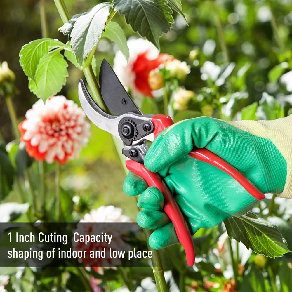 Altdorff cut-and-hold teeth close-up illustrating hook-and-teeth design that holds cut branches securely