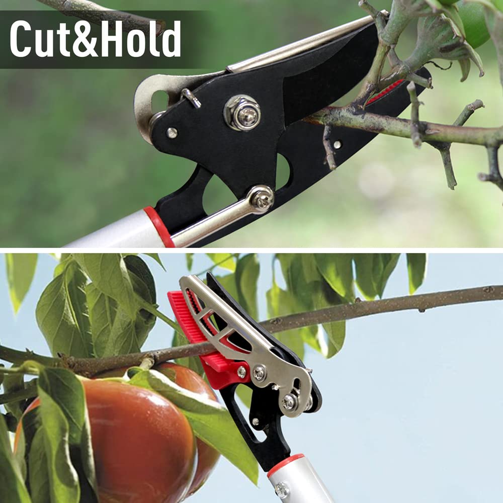 Altdorff hand pruner close-up blade showing hardened, Teflon-coated steel for smoother cuts and longer edge life