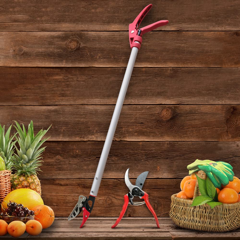 Altdorff lifestyle gardening scene with gardener pruning fruit tree showing convenience and one-handed operation