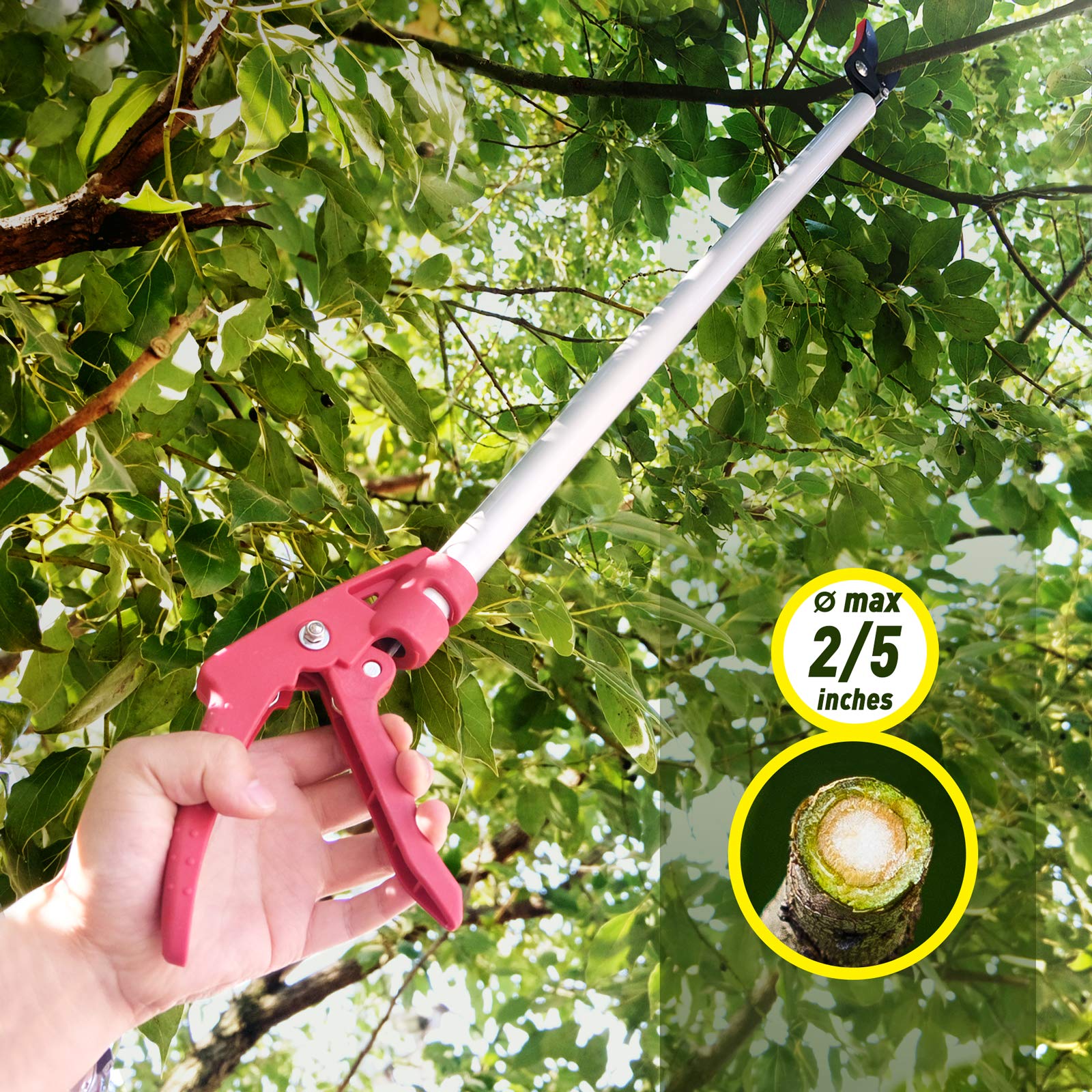 Altdorff pruner in use on overhead branch capturing the cut-and-hold action preventing debris from falling
