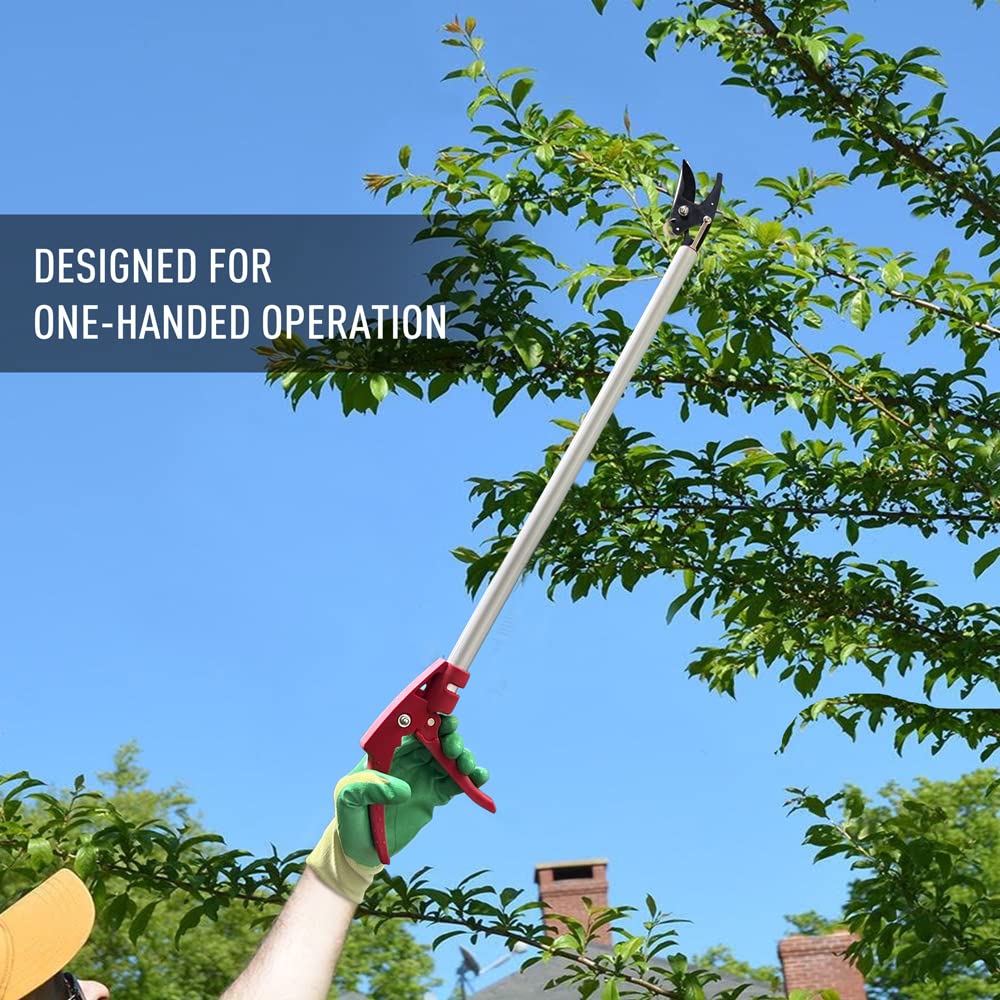 Altdorff size comparison against ruler showing 32-inch pole and compact hand pruner for scale and portability