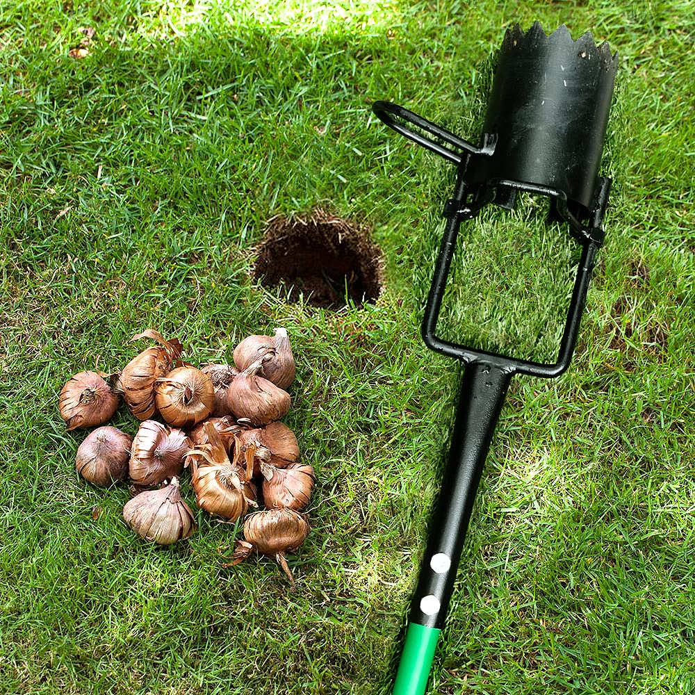 Altdorff soil plug removed showing consistent 3.5-inch depth for uniform planting