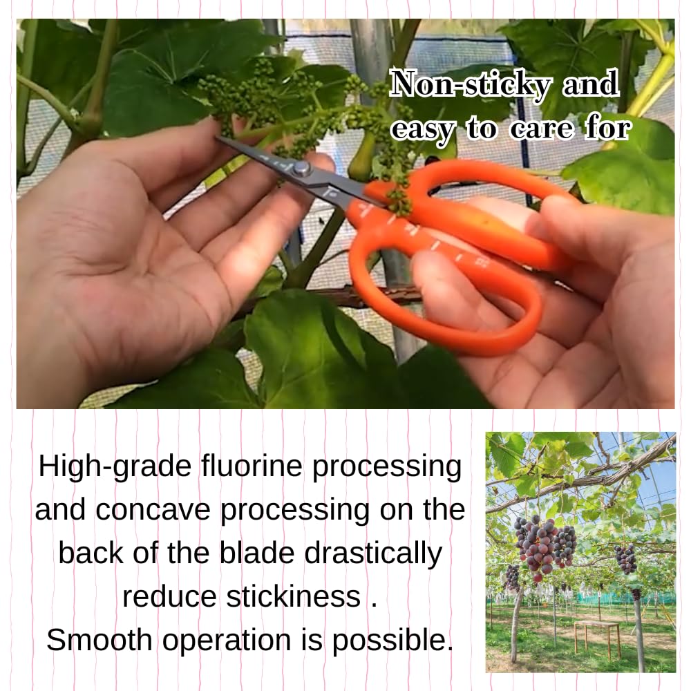 ALVEIN trimming a bonsai twig with needle-nose tips for accurate shaping
