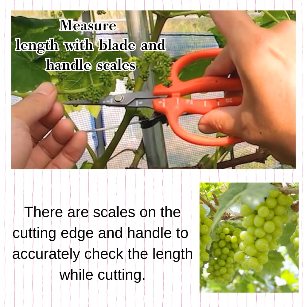 ALVEIN two shears and microfiber cloth arranged for easy maintenance and storage