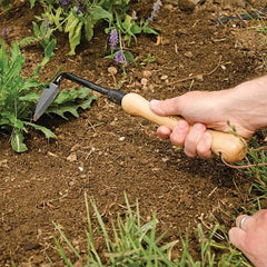 A.M. Leonard weeder in garden use prying weeds with minimal soil disturbance benefit
