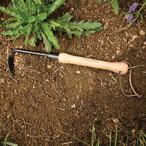 A.M. Leonard weeder next to ruler showing 2-3/4 inch cutting edge for scale benefit