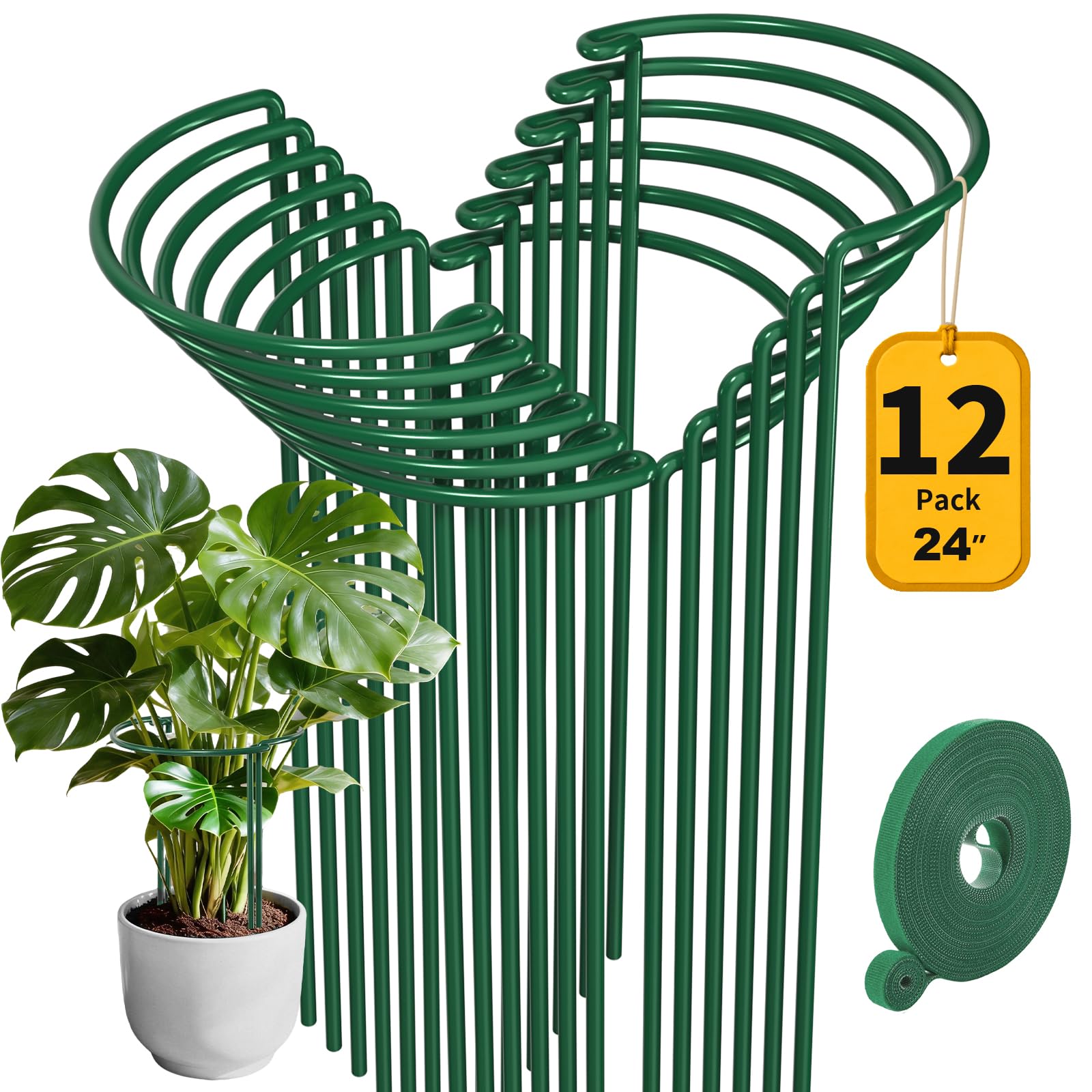 AMAGABELI front packaging showing 12-pack stakes and benefits