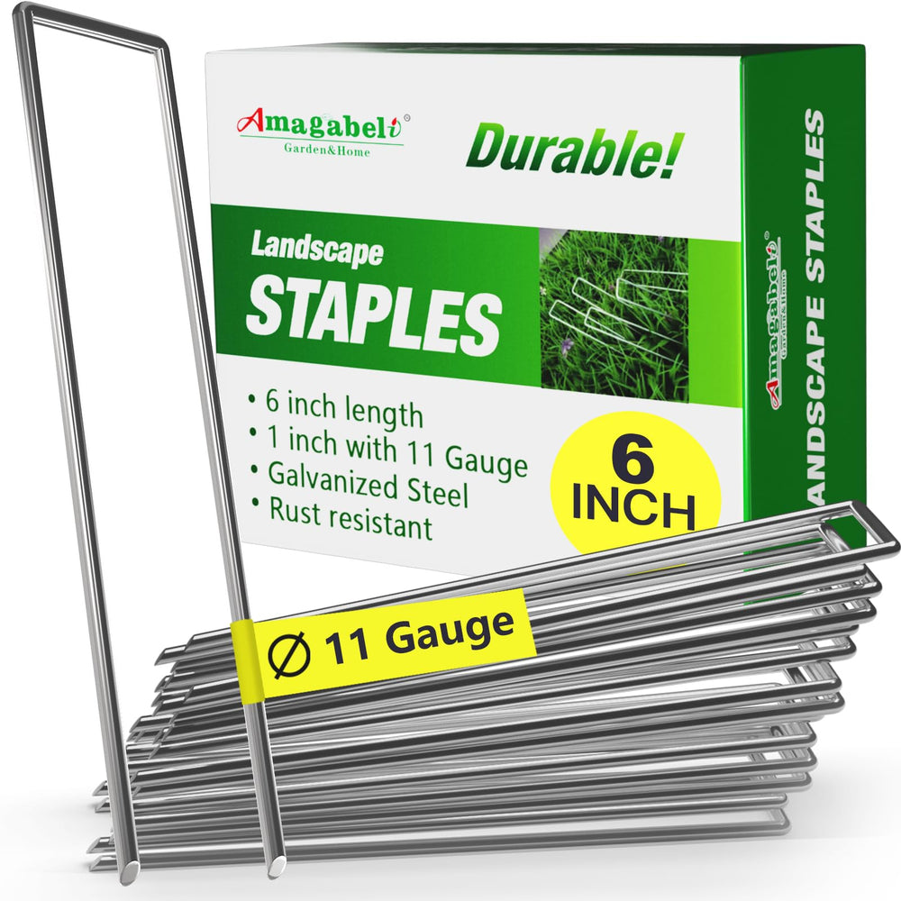 AMAGABELI front pack showing 500 staples and quantity benefit