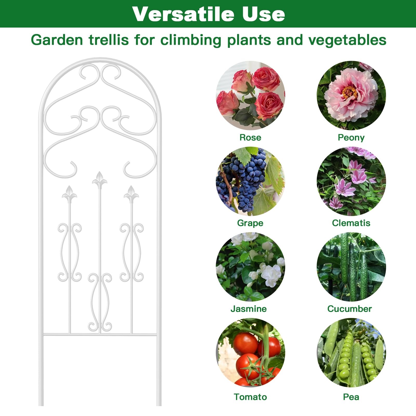 AMAGABELI GARDEN & HOME trellis with climbing roses for easier training and flowering display