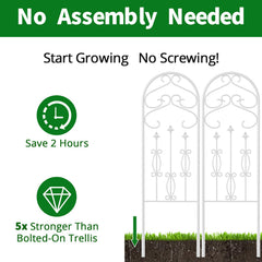 AMAGABELI GARDEN & HOME trellis installed in a planter providing space-saving vertical growth