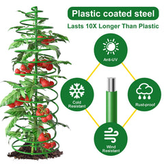 AMAGABELI cage supporting a tomato plant showing easier harvesting and healthier vines