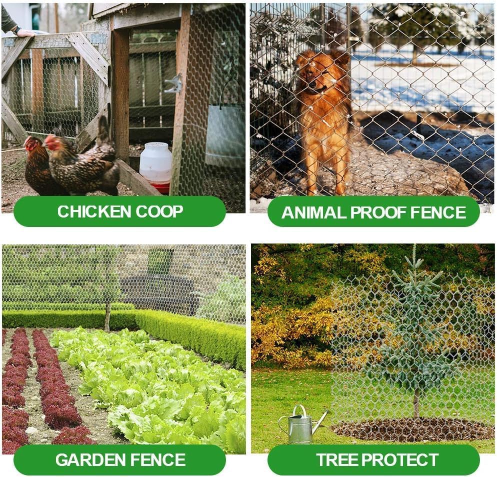AMAGABELI chicken wire next to ruler showing 36-inch height and 50-foot roll scale