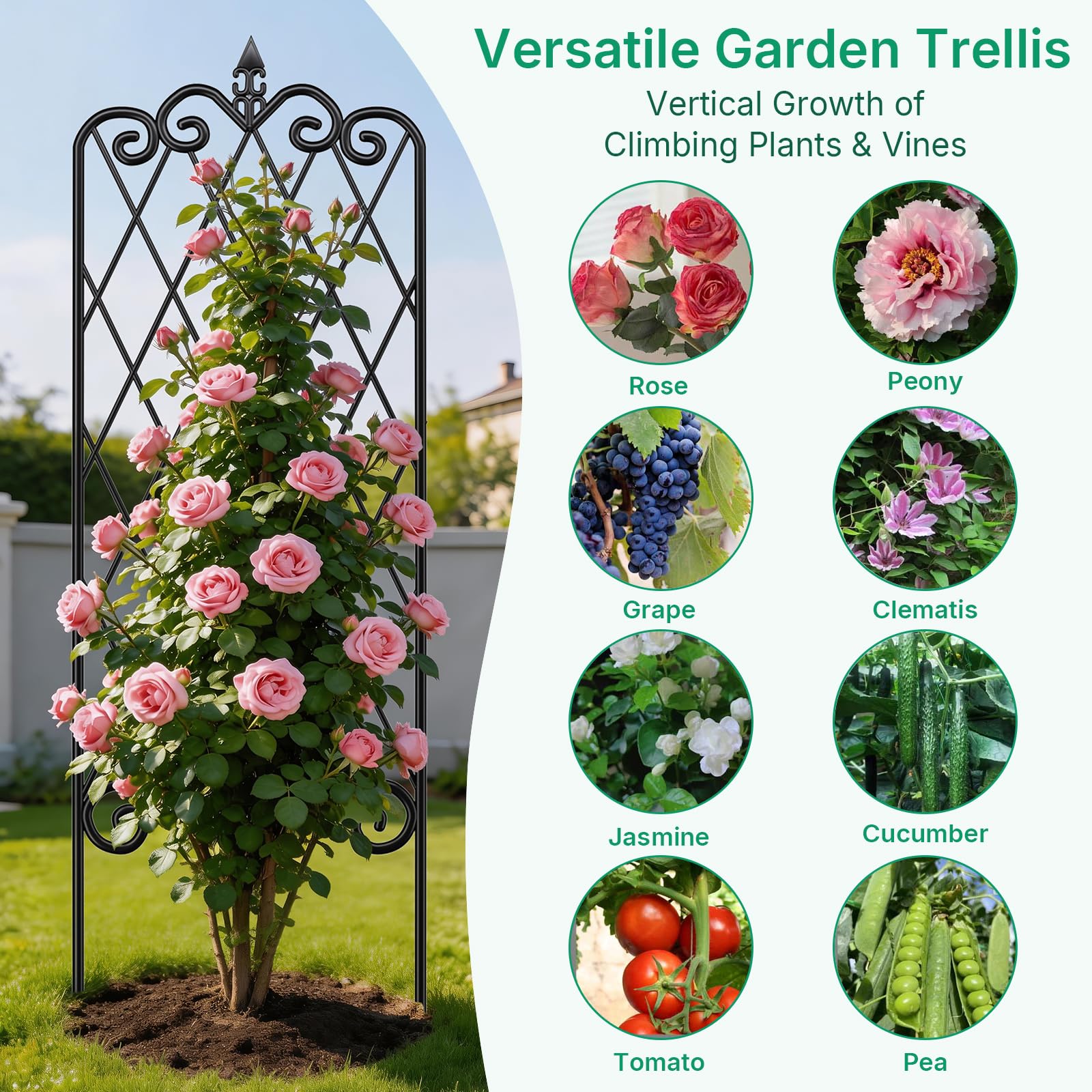 AMAGABELI trellis leaning against wall for extra stability and style
