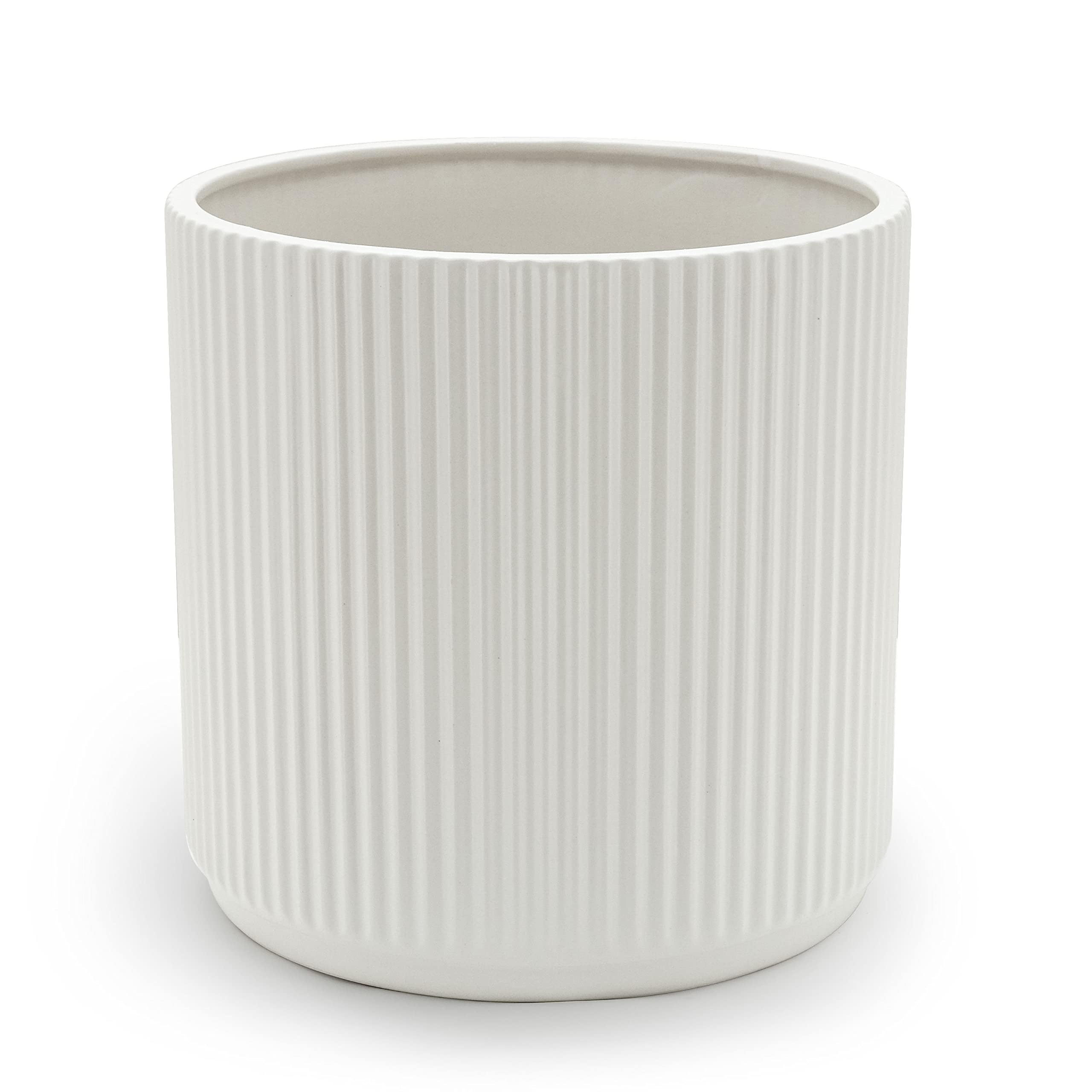 Amazon Basics front view of white fluted ceramic planter showing clean modern look and elegance