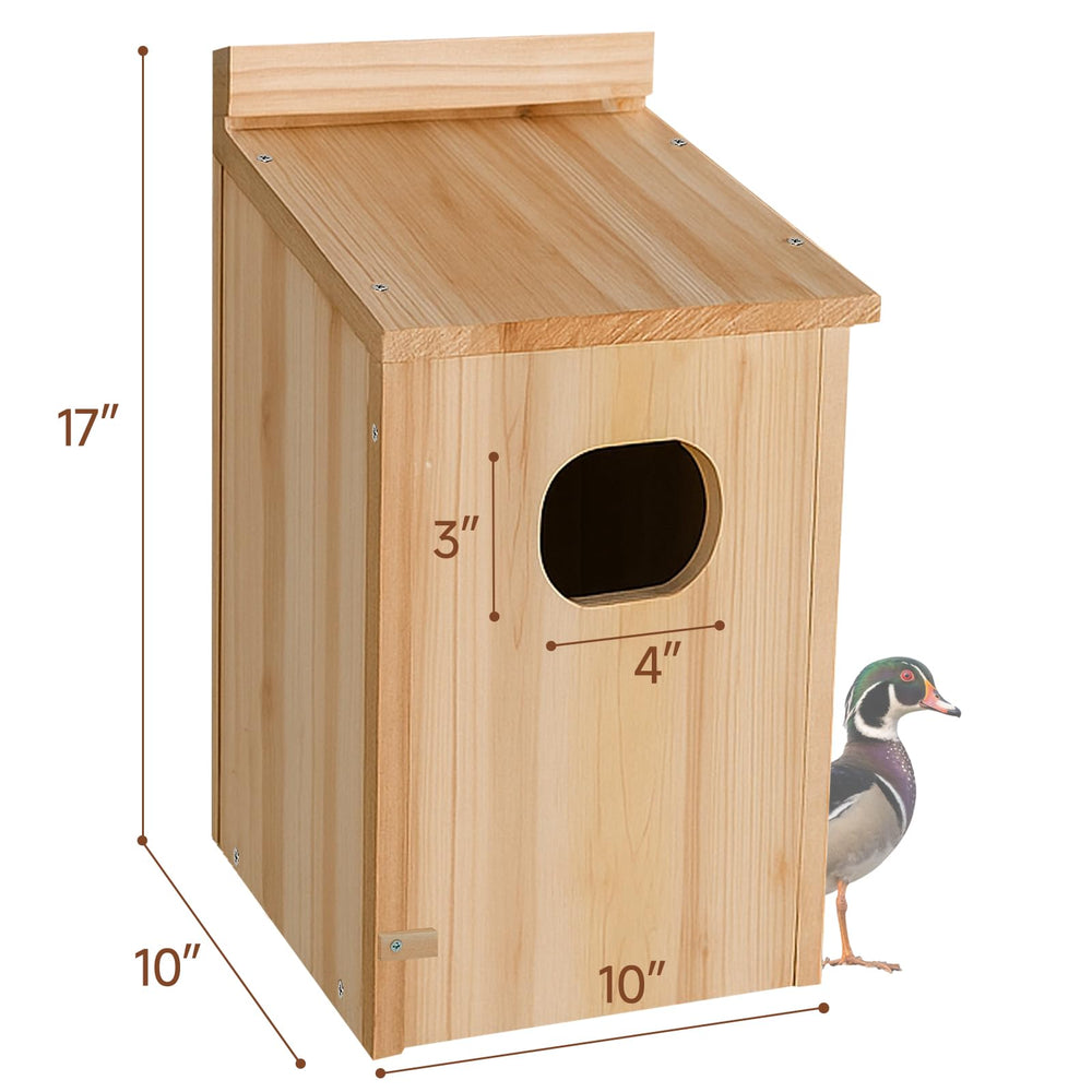 Amcortn duck house entrance close-up with 3x4 inch opening that balances access and shelter