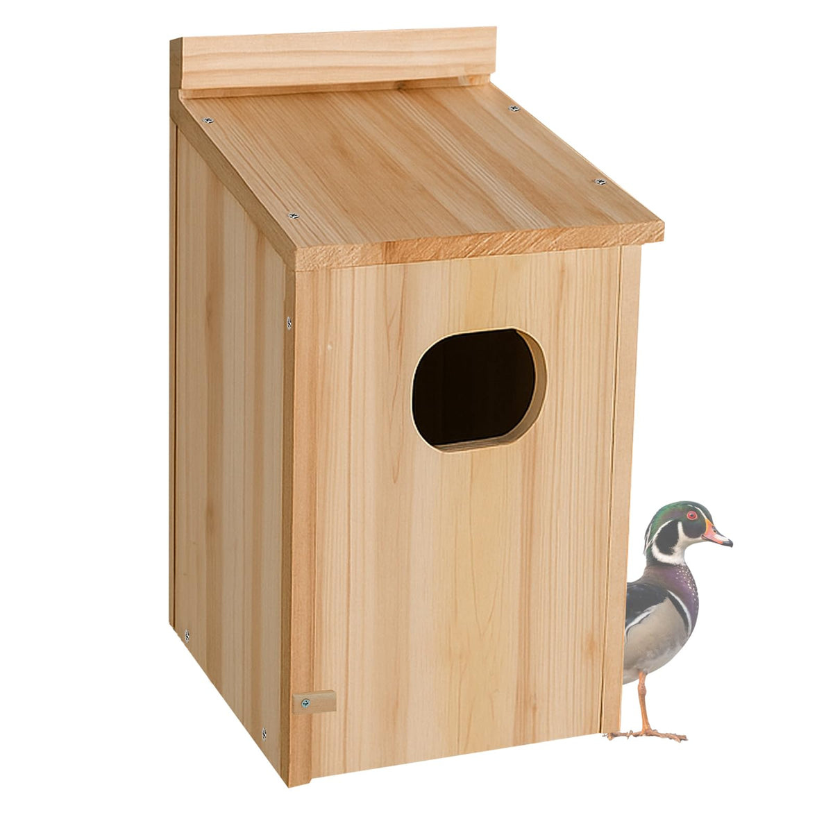 Amcortn duck house front view showing sturdy wood and protective entrance, ideal for safe nesting