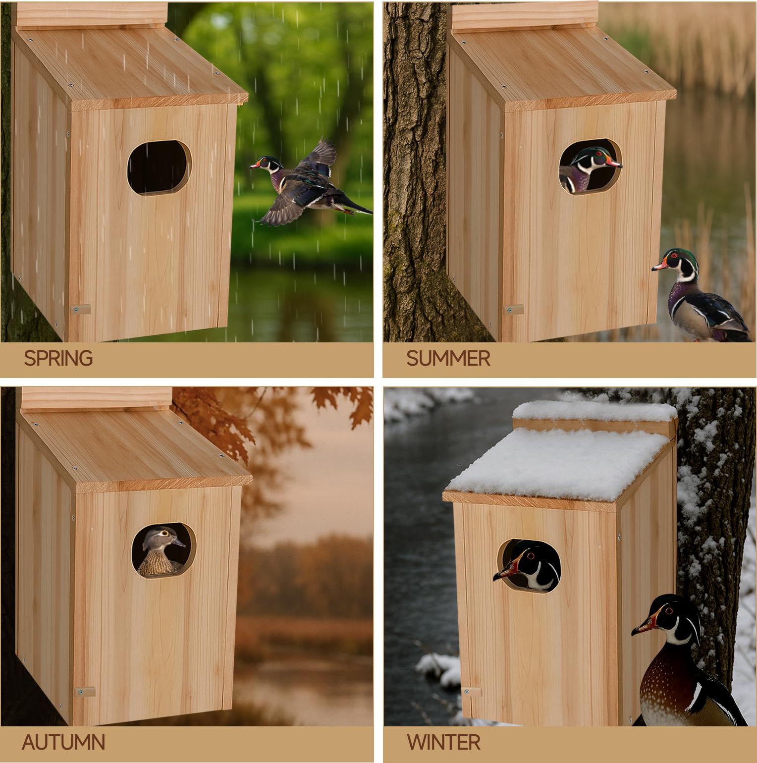 Amcortn duck house interior detail displaying dry cavity and nesting space for eggs and brood
