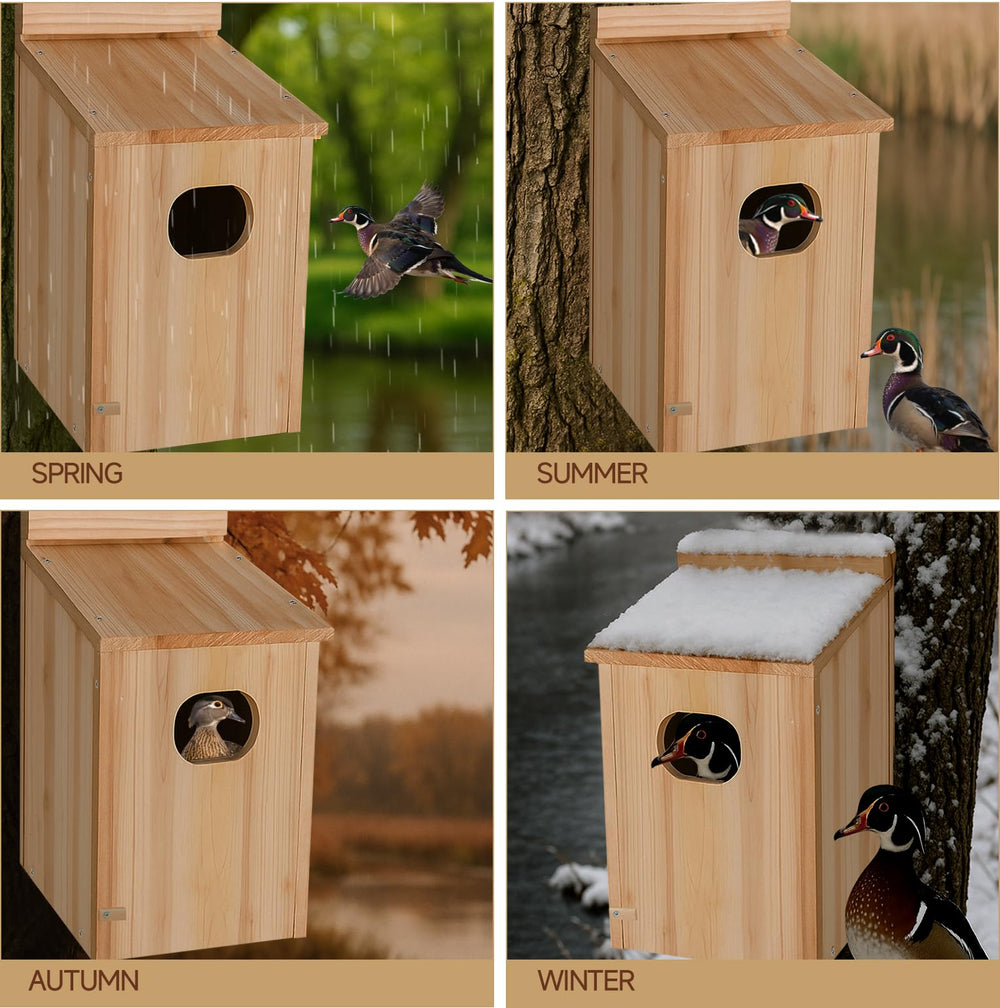 Amcortn duck house interior detail displaying dry cavity and nesting space for eggs and brood