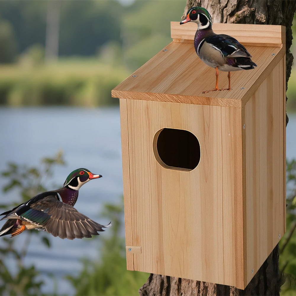 Amcortn duck house in a pond-side scene showing natural fit and attraction for wild ducks
