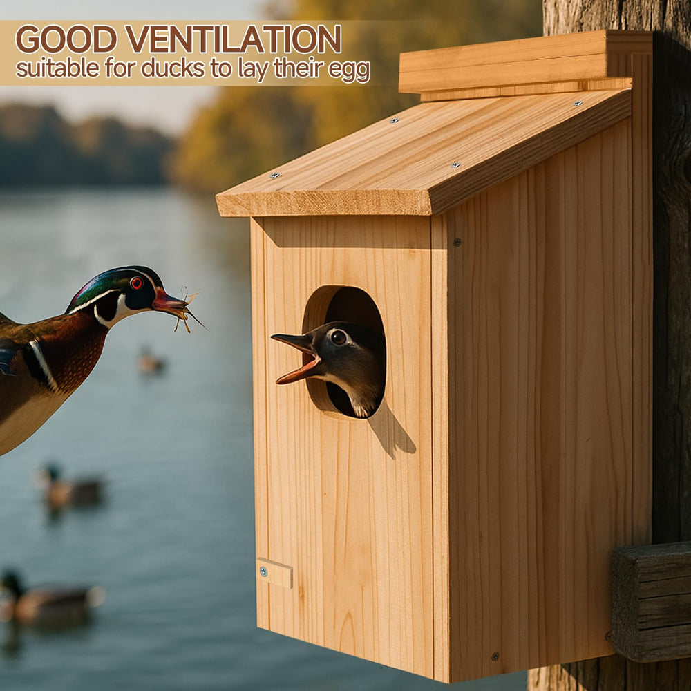 Amcortn duck house side profile highlighting thickness and weather-resistant construction benefit