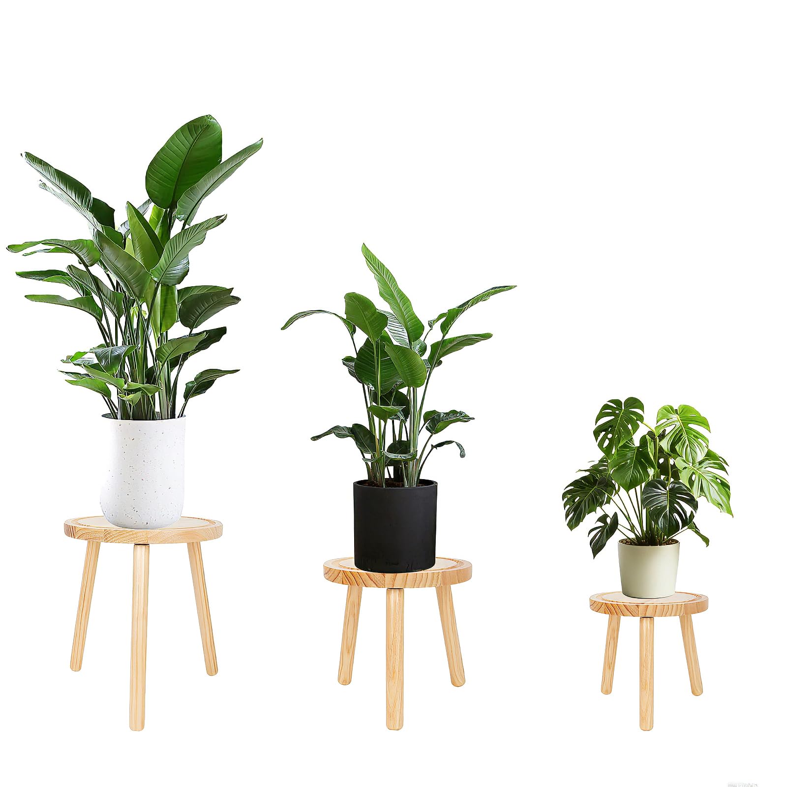 Amdermi front view showing light brown mid-century plant stand benefit height