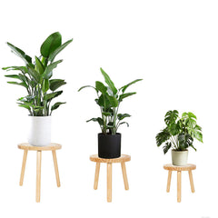 Amdermi front view showing light brown mid-century plant stand benefit height