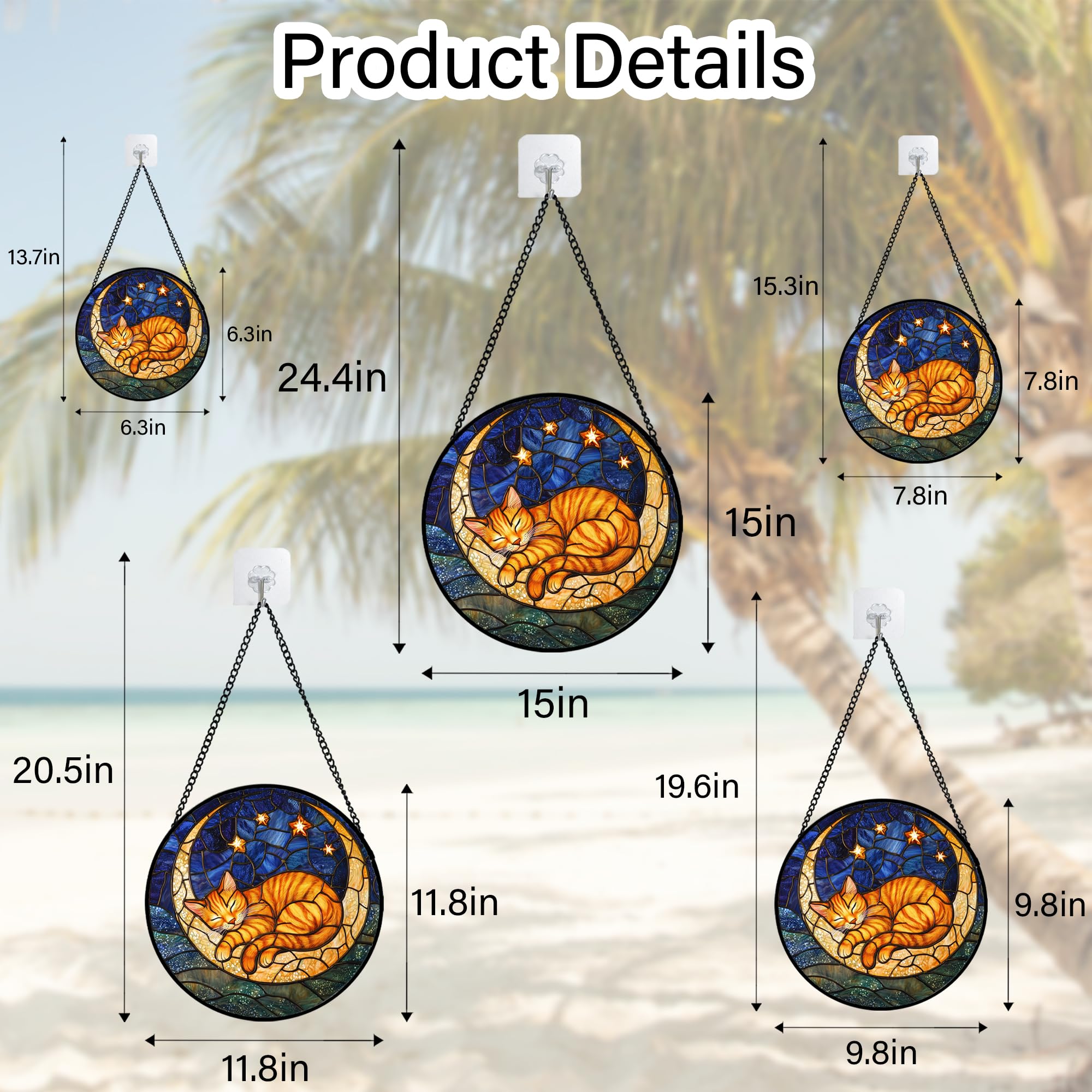 AMDERVEN scale comparison with ruler showing compact 12-inch size