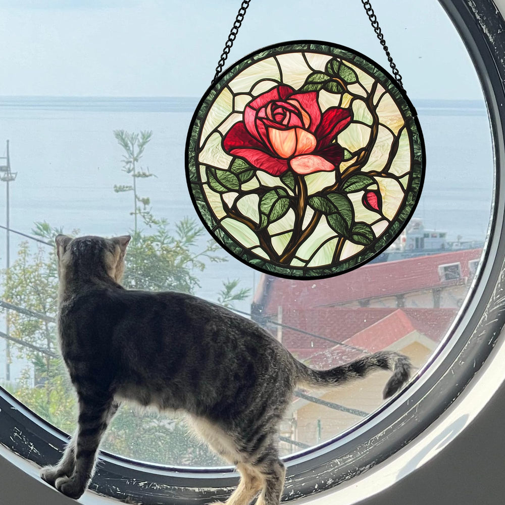 AMDERVEN suncatcher hanging in window creating colorful sunlight and mood enhancement